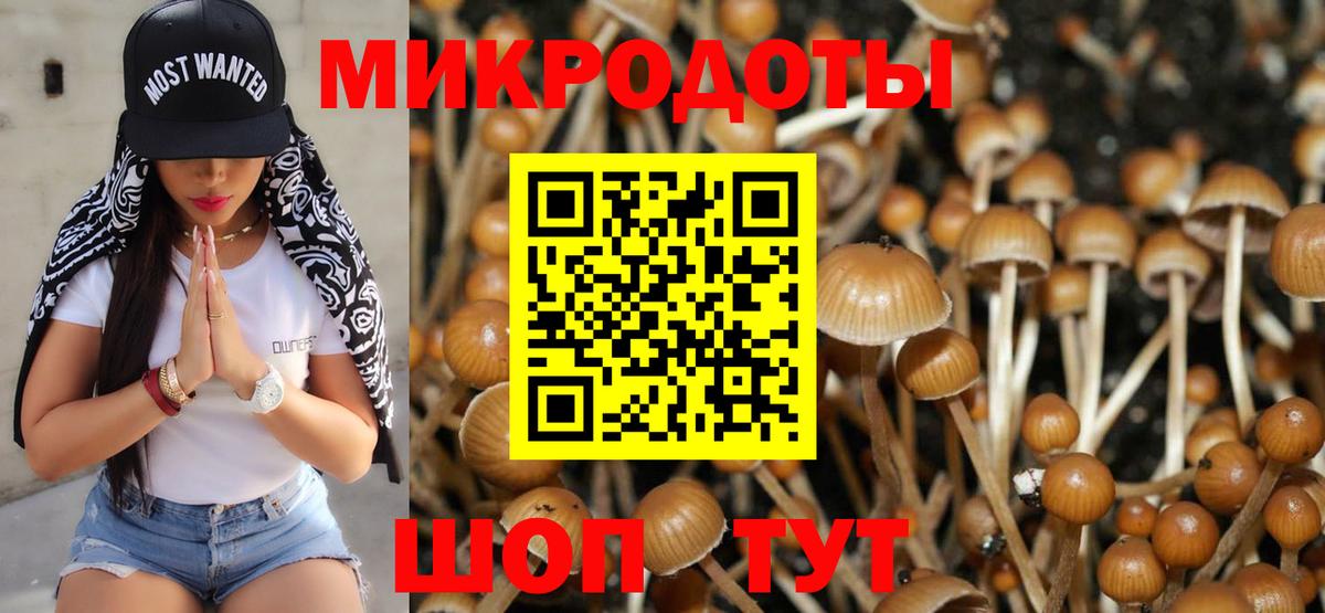 Фурманов  Галлюциногенные грибы мицелий  Вход с VPN  Псилоцибиновые грибы Cubensis 